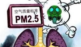 最新监管者爆料讲解图片,最新爆料揭示图片背后的监管动态